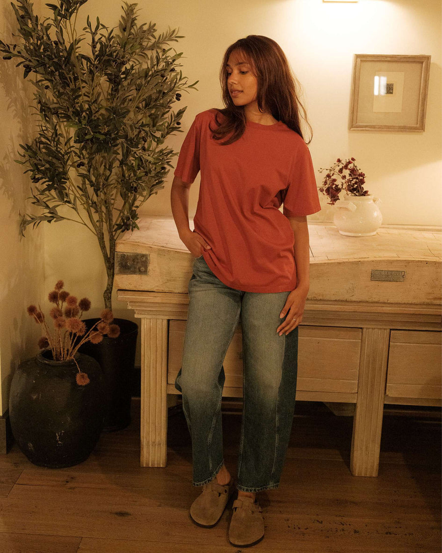Boyfriend fit t-shirt in terra organic cotton