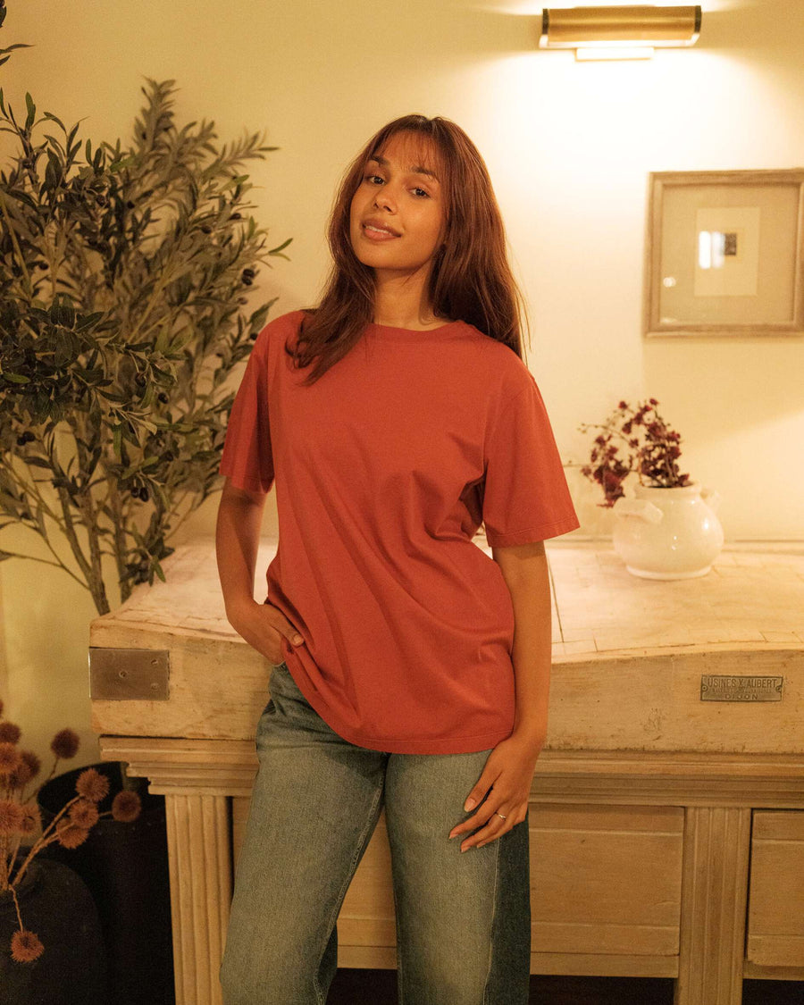 Classic crew neck t-shirt in terra colour